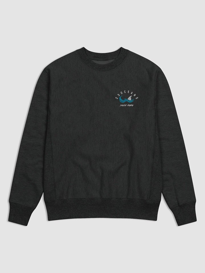 23oceans Champion Cotton Max Sweater product image (1)