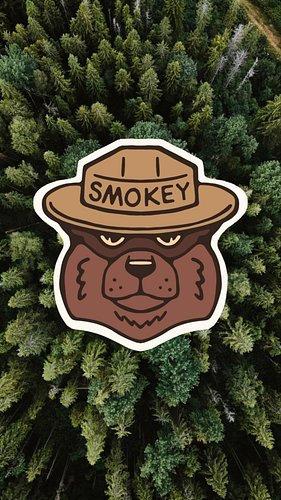 Smokey the Bear is 80 years old today. 

Would you buy this design as a sticker?
Considering getting these printed and donati...