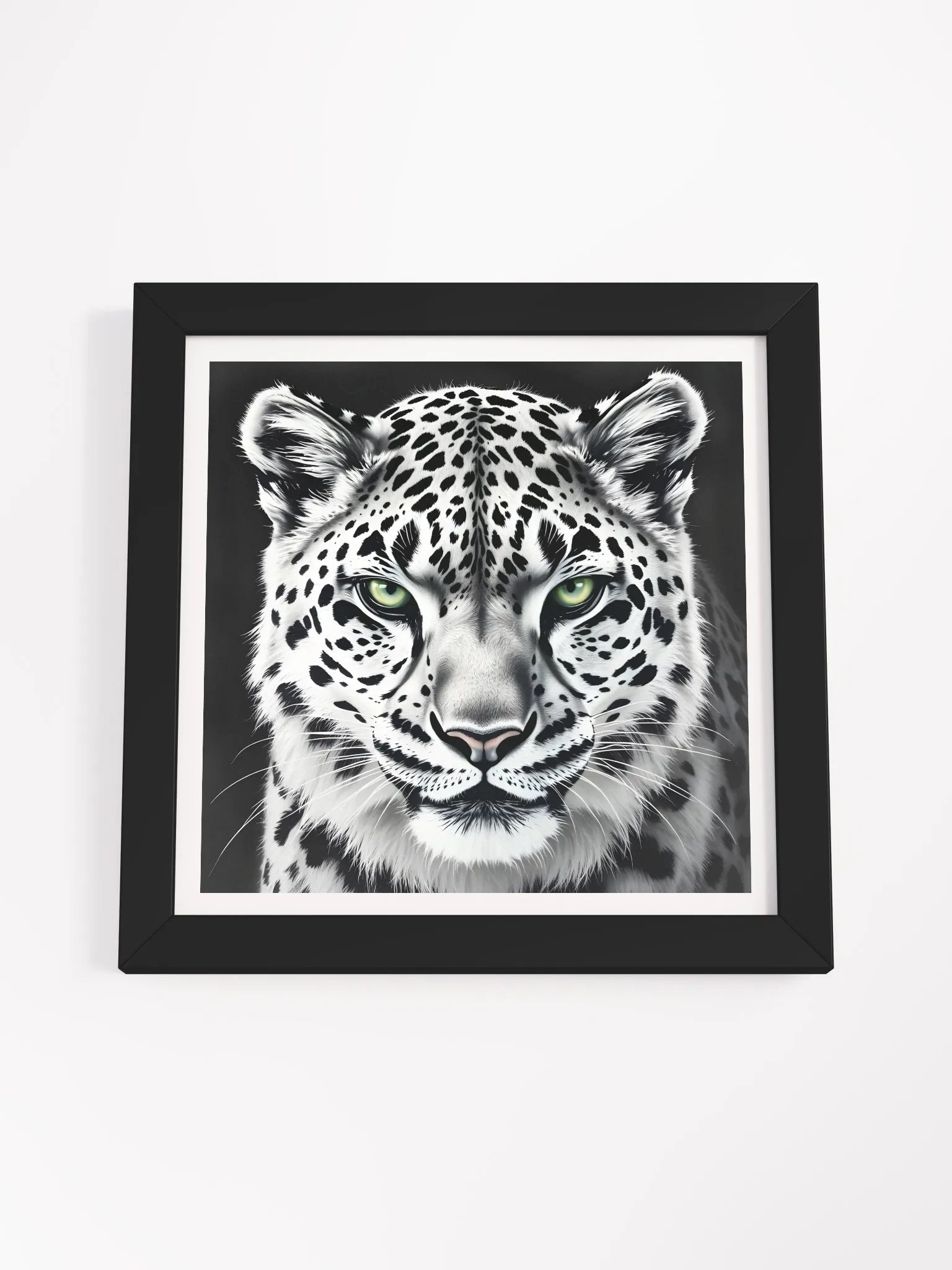 Snowleopard product image (55)