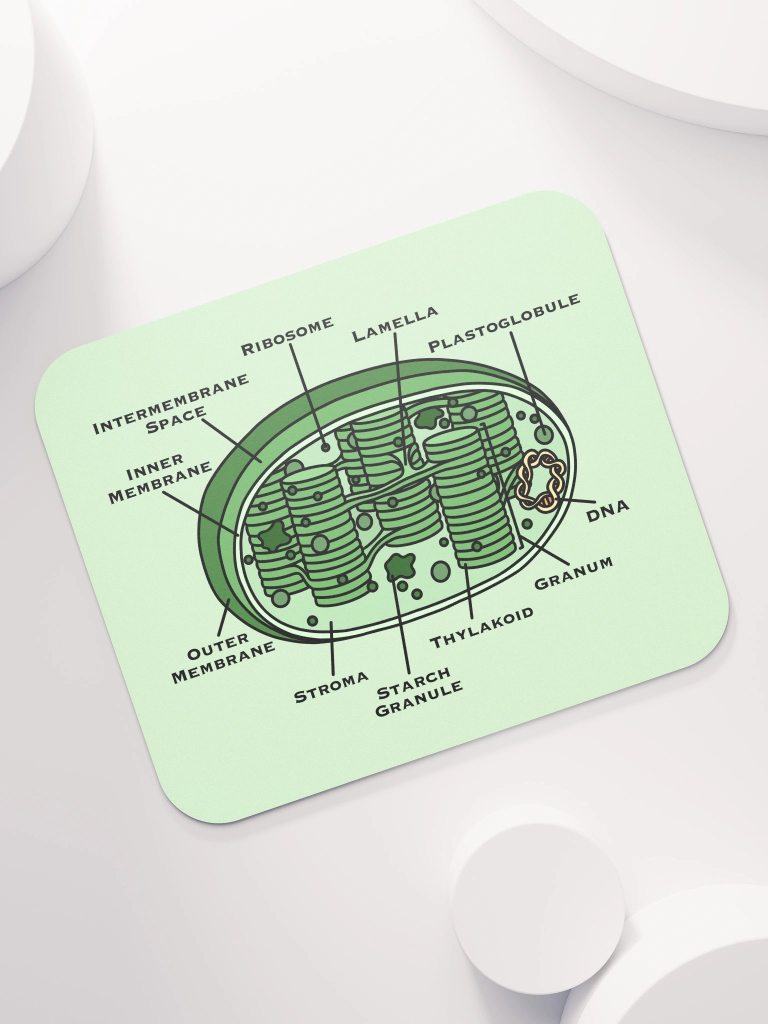 Chloroplast Diagram Mousepad product image (7)