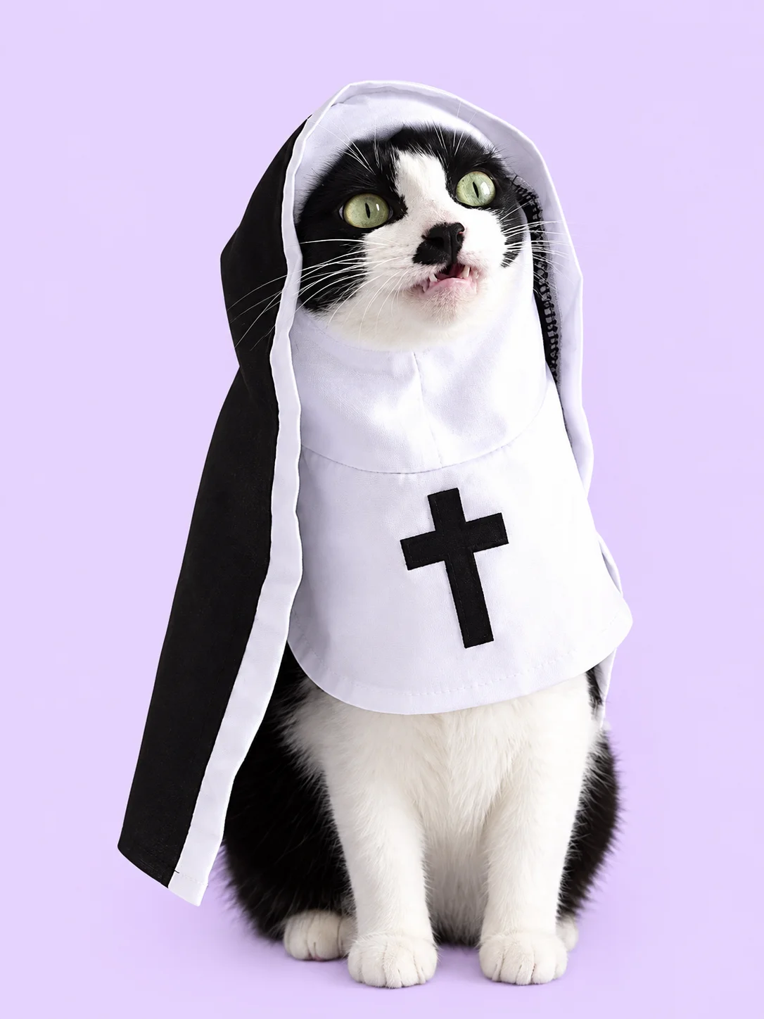 Nun Outfit for Pets product image (4)