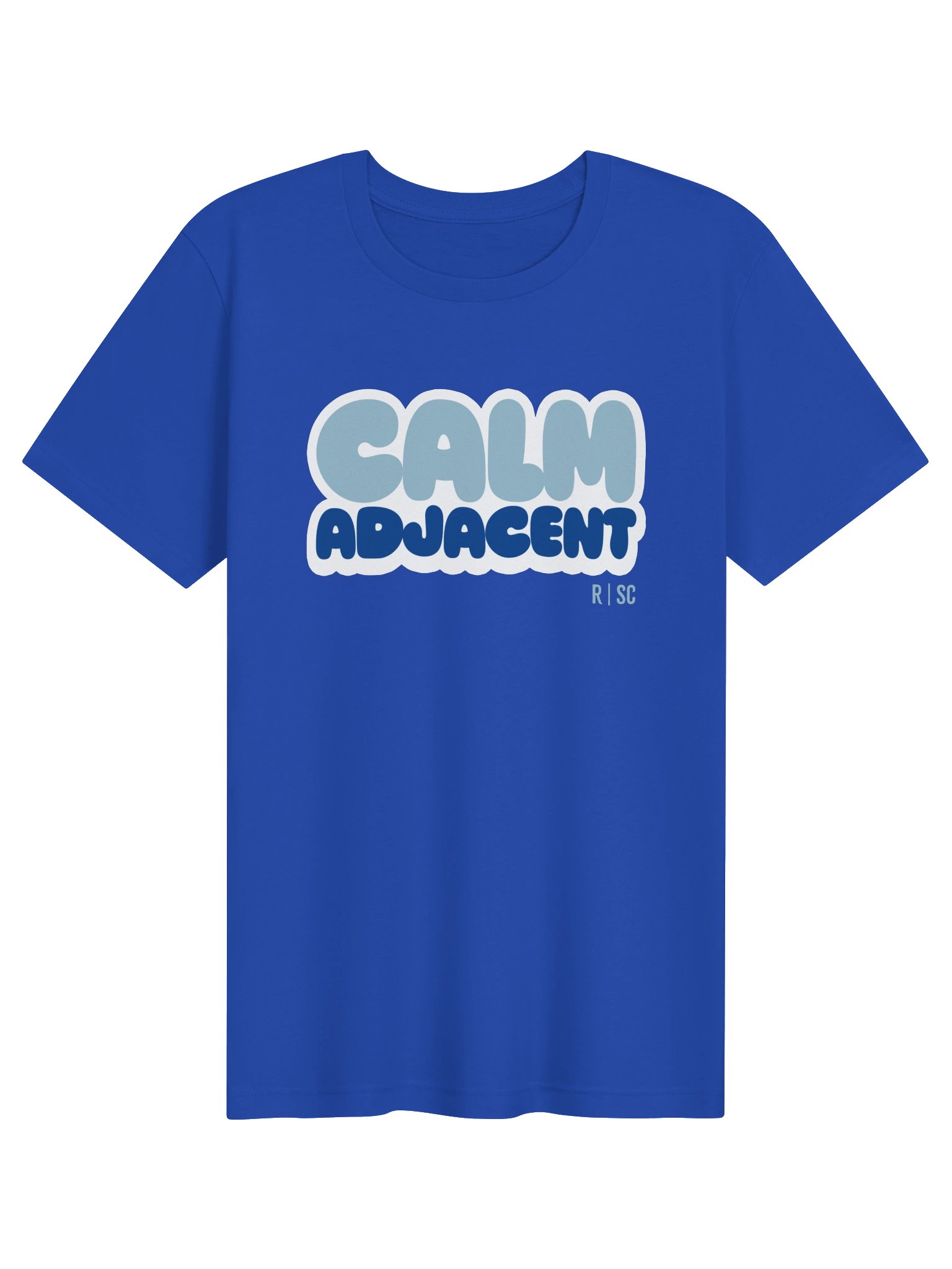 Calm Adjacent T-shirt (Blue) product image (51)