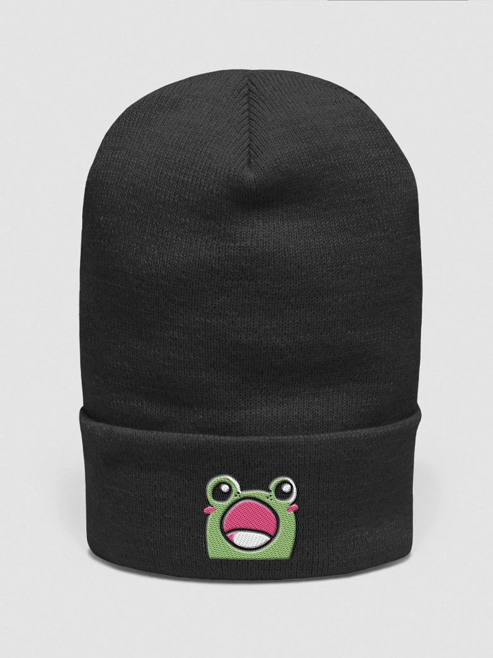Forg Pop Beanie product image (1)