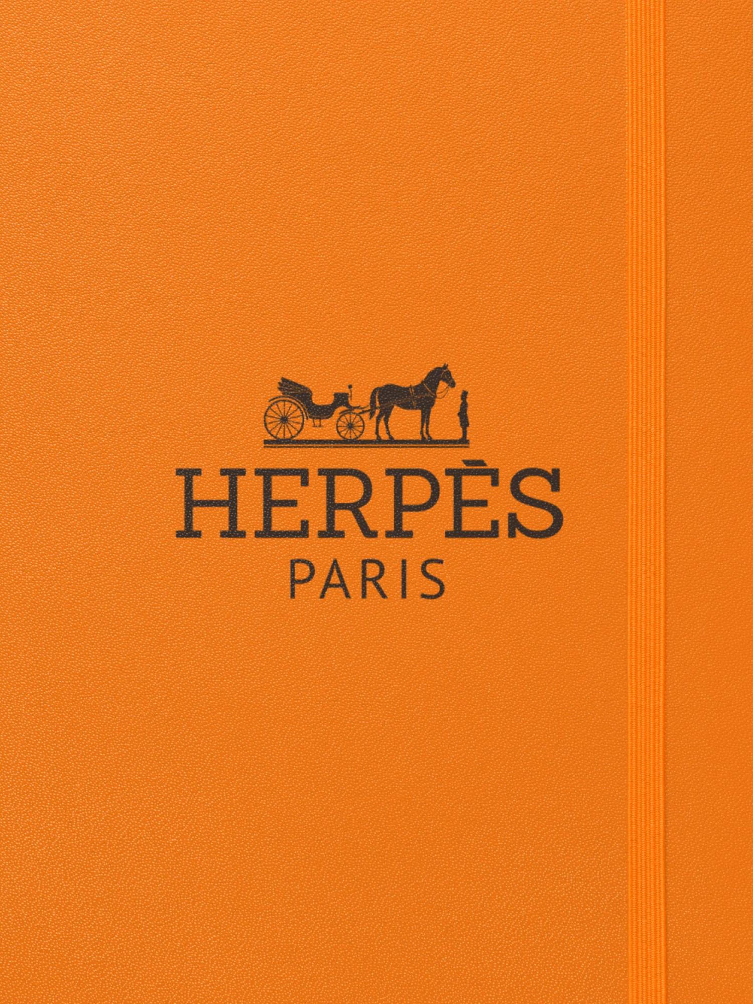 Herpès Hardcover Bound Notebook product image (3)