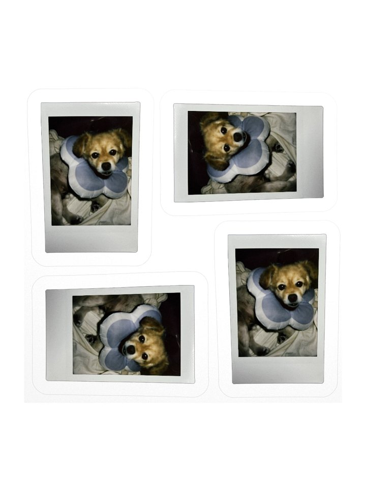 For your friends product image (3)