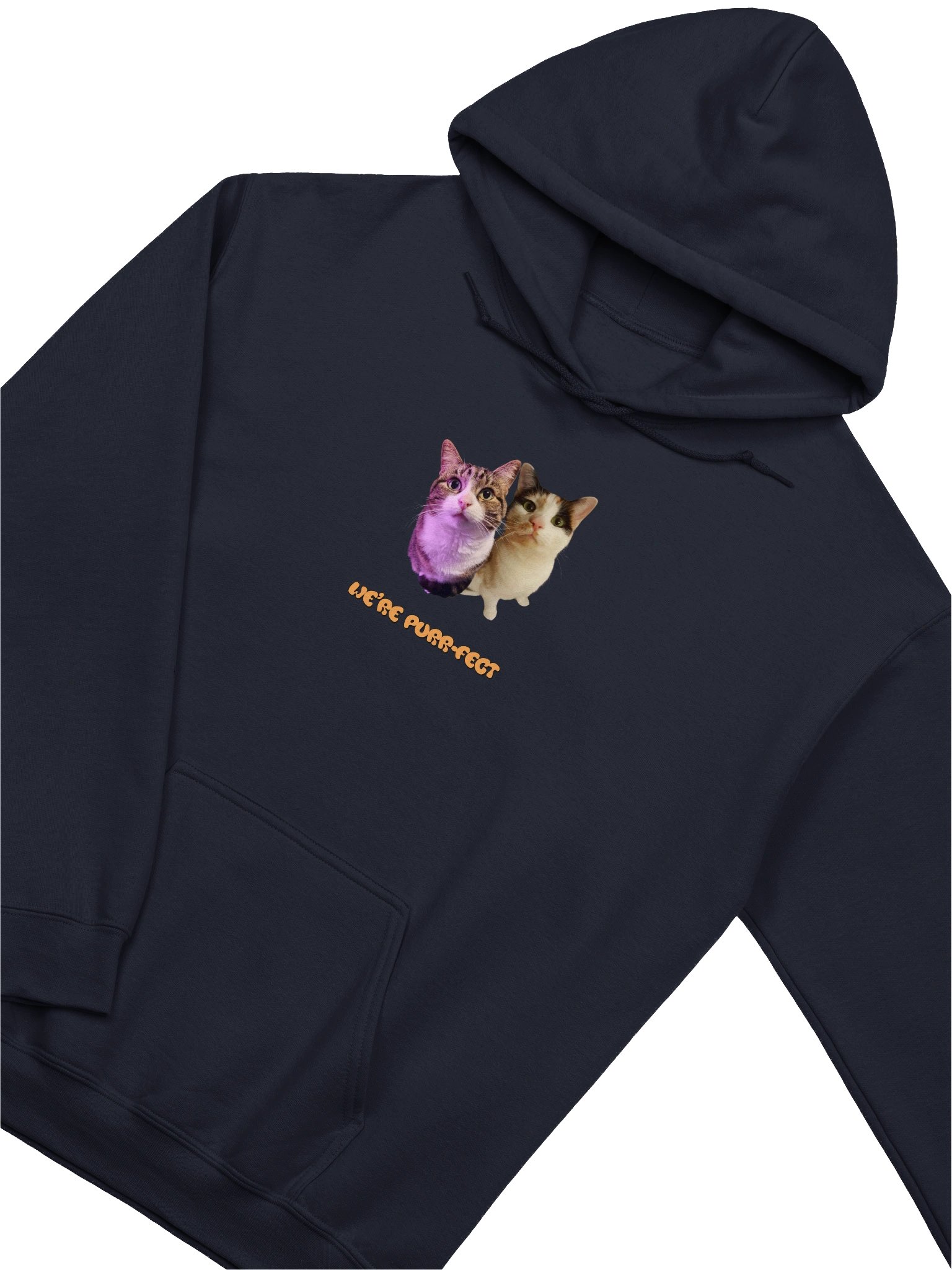 Kate & Liz We're Purrfect Hoodie product image (28)