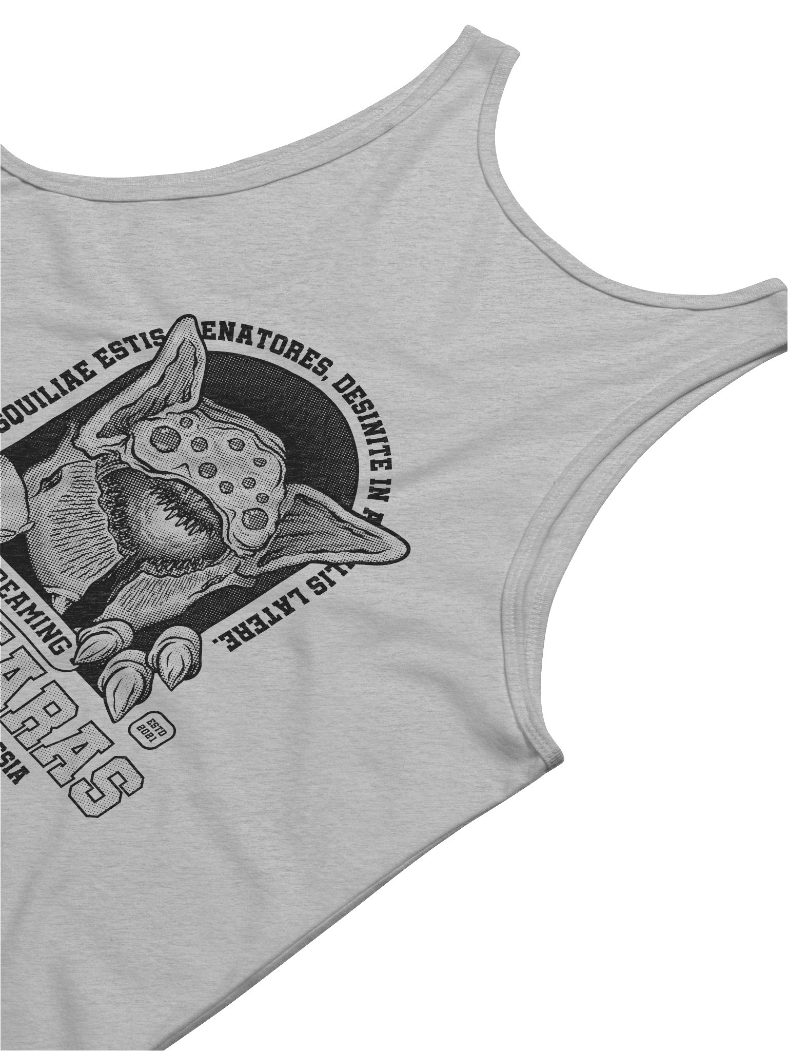 Screaming Ahamkaras Gyms Tank Vintage product image (5)
