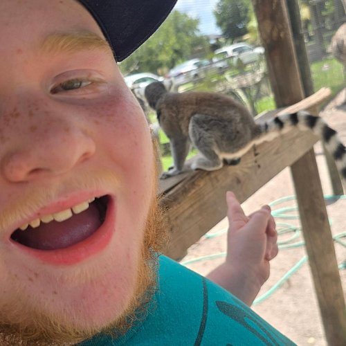 Lemur literally decided to treat this photo like going to the nearest bathroom in the house, god. - L.X Szalai