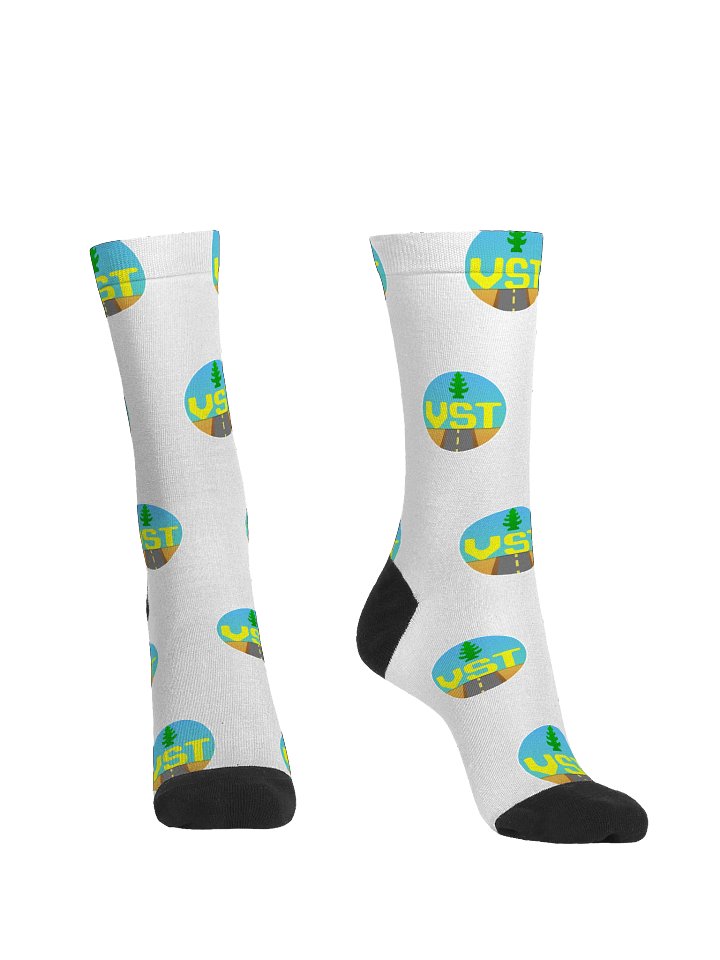 VST Favicon Socks product image (2)
