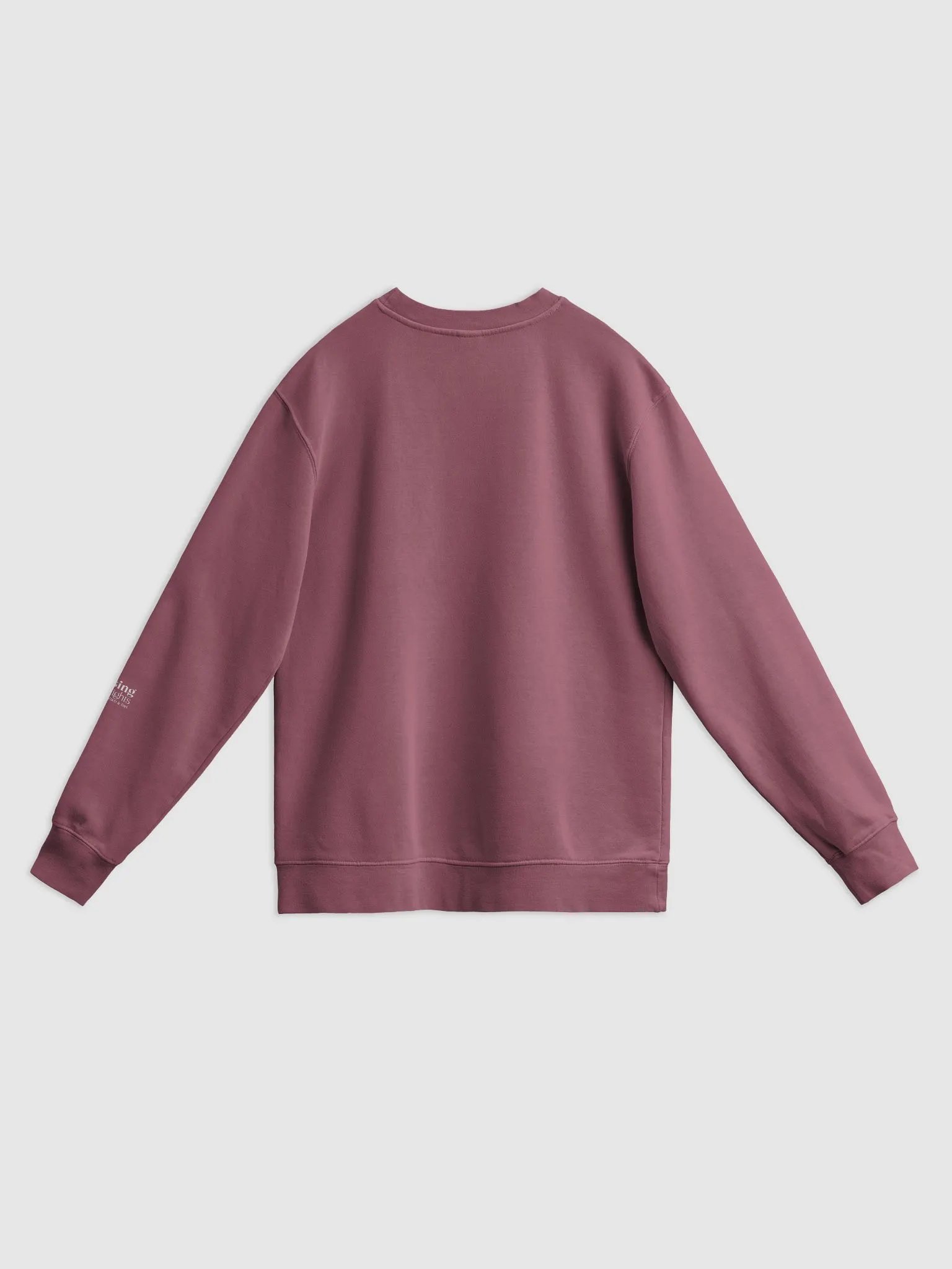 Forget the Rest Raising Heights Vintage Pigment Dyed Sweatshirt product image (3)
