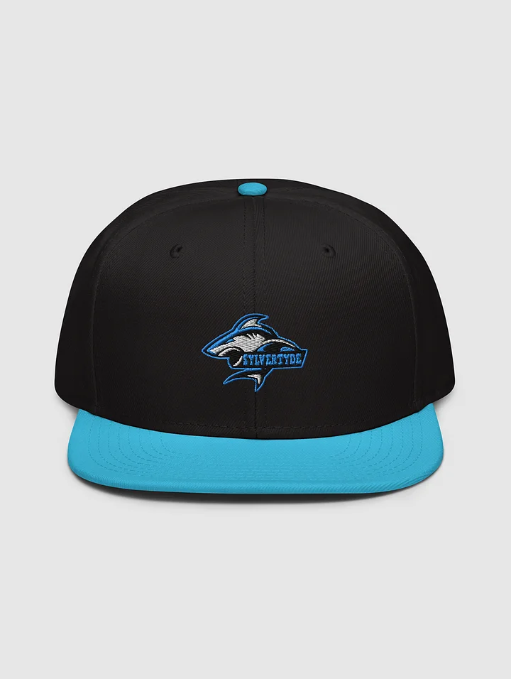 Sylvertyde Snapback Hat product image (1)