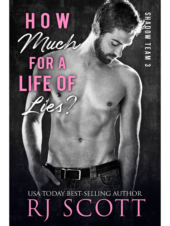 How Much For a Life of Lies? (Shadow Team 3) - paperback product image (2)