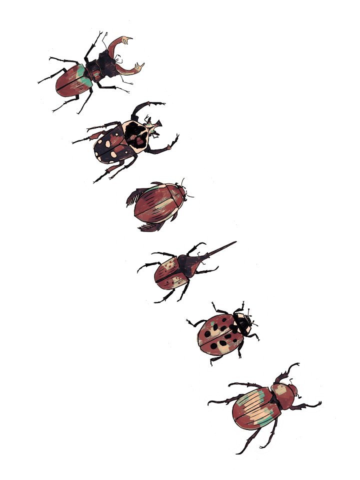 the beetles | sticker sheet product image (2)