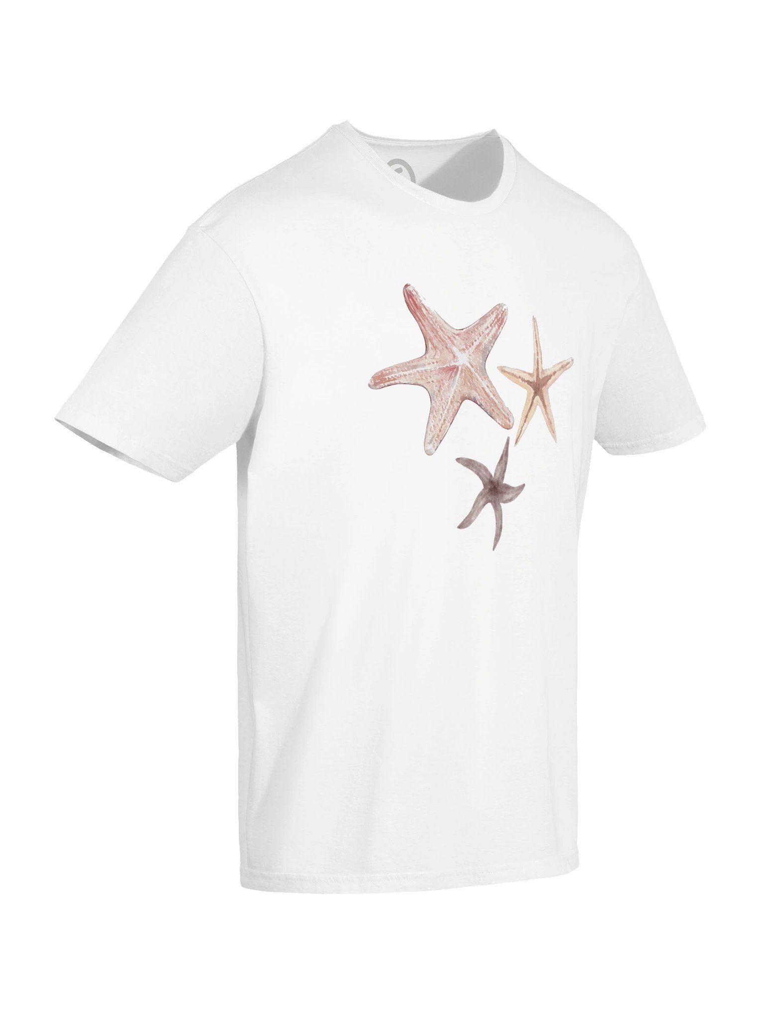 Basics | Starfishes from Varadero product image (12)