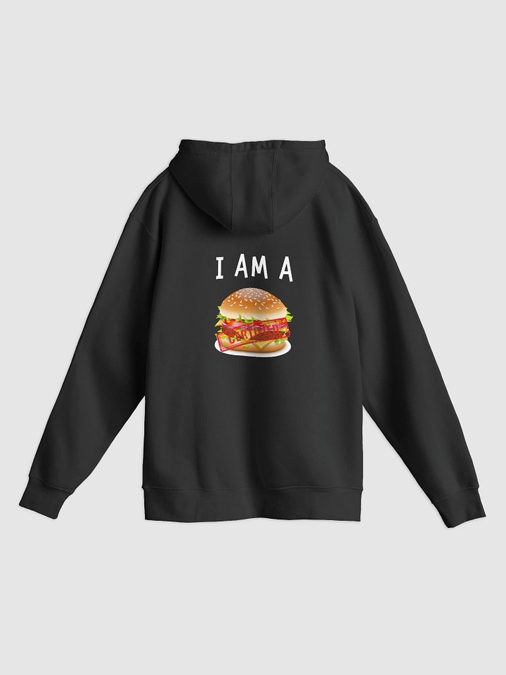 HumDum Illustrated Premium Hoodie product image (9)