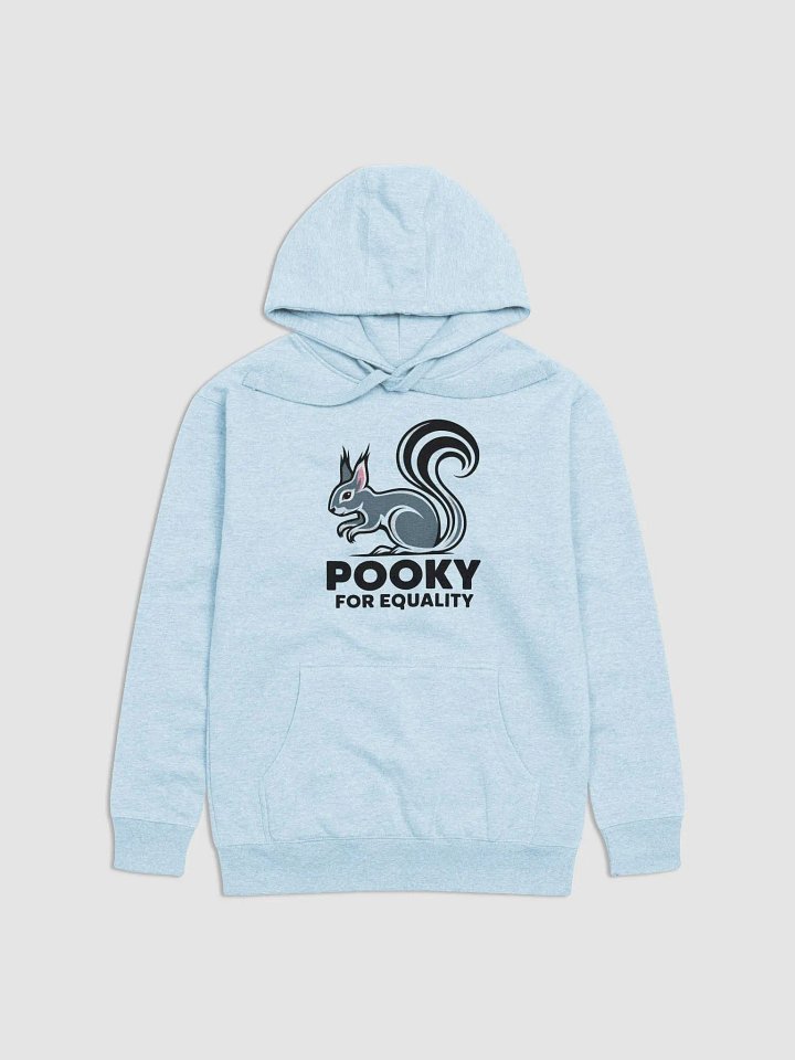 Super Soft and Comfy Hoodie: Pooky for Equality product image (1)