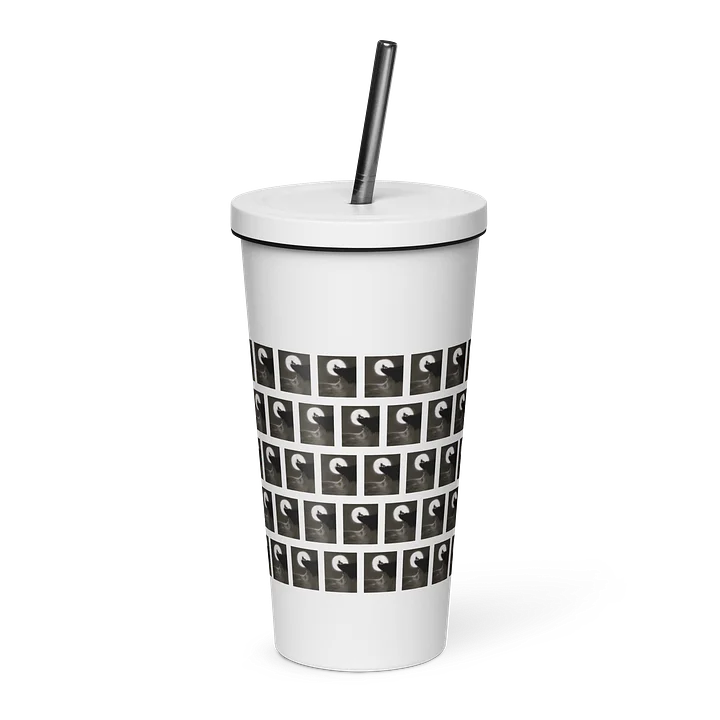 Insulated Tumbler with a Straw product image (17)