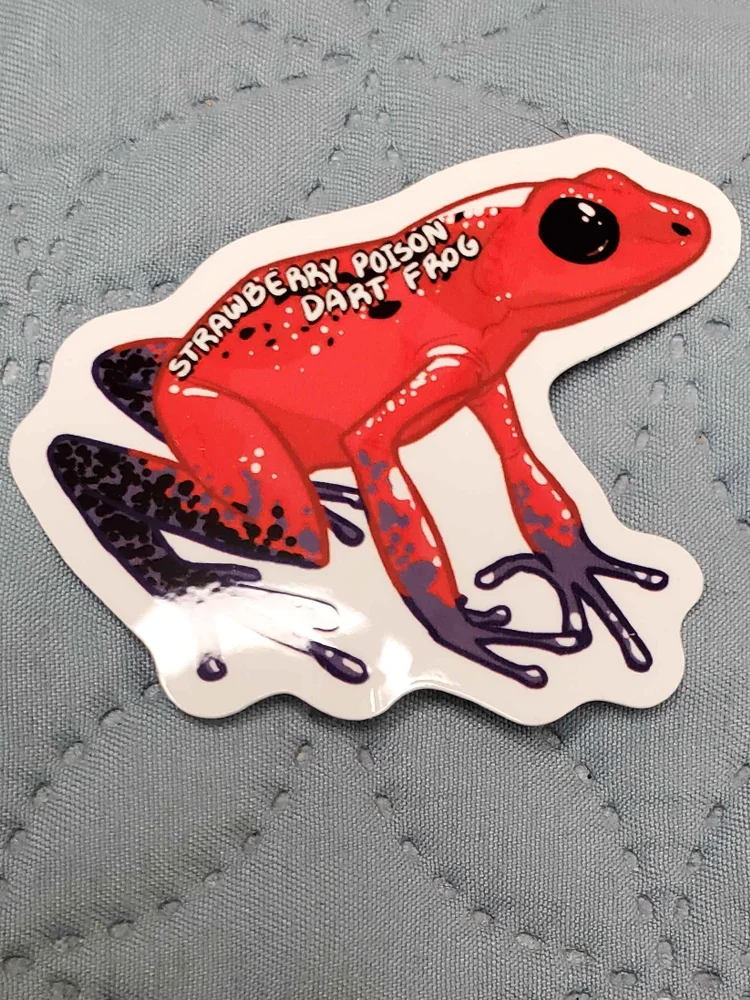 Strawberry Poison Dark Frog Sticker product image (3)