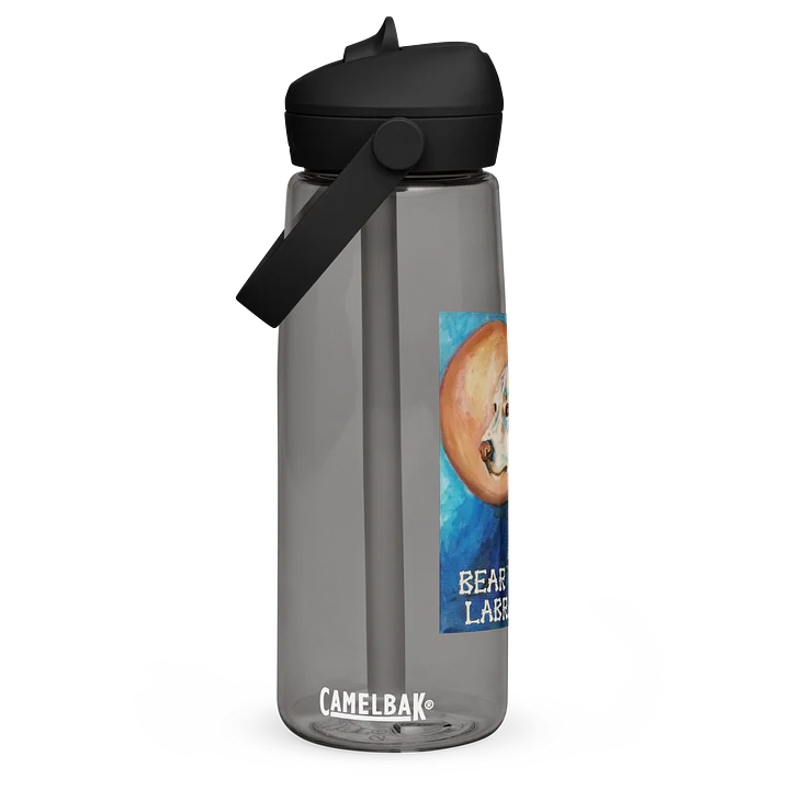 Original Logo Water Bottle product image (3)