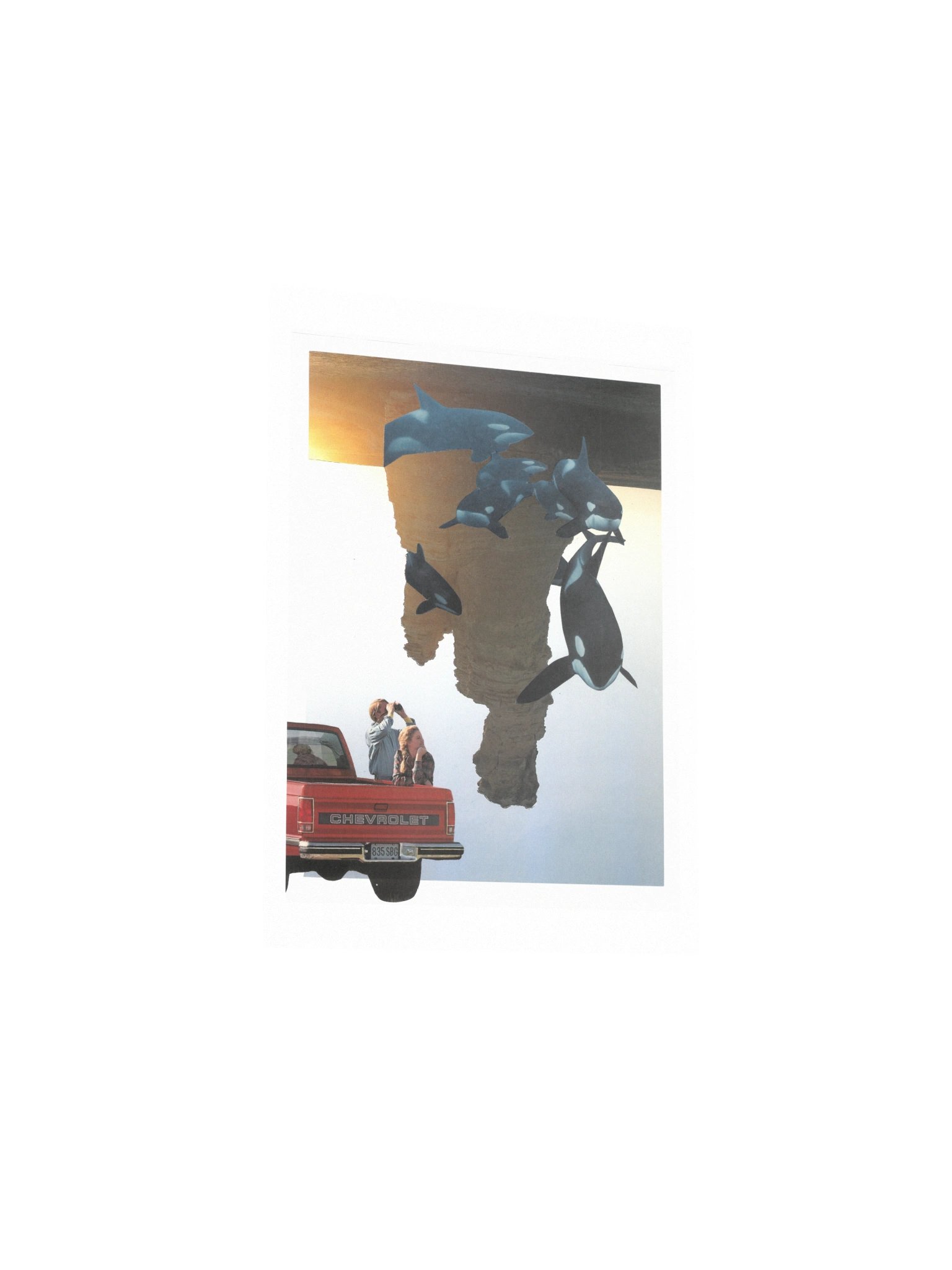 Long time, no sea product image (3)