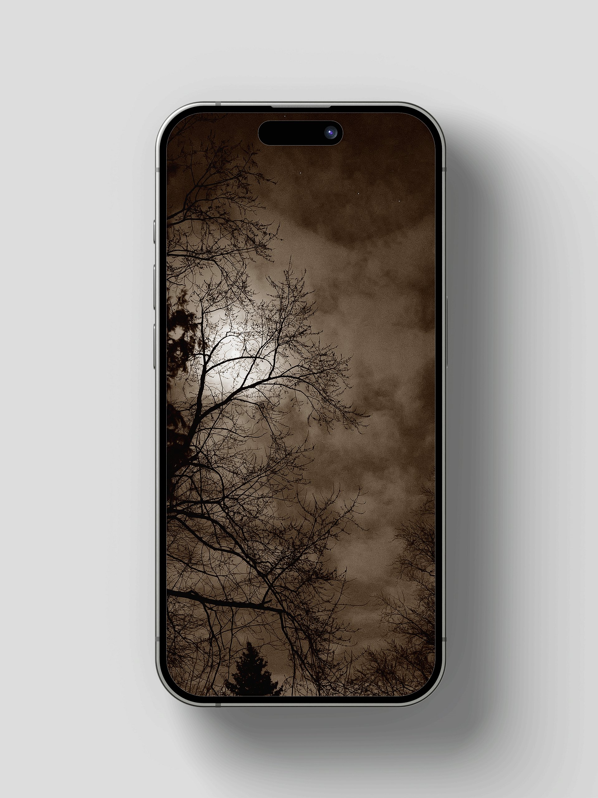 Chasing the Moon Computer, Phone & Tablet Wallpaper Pack product image (3)