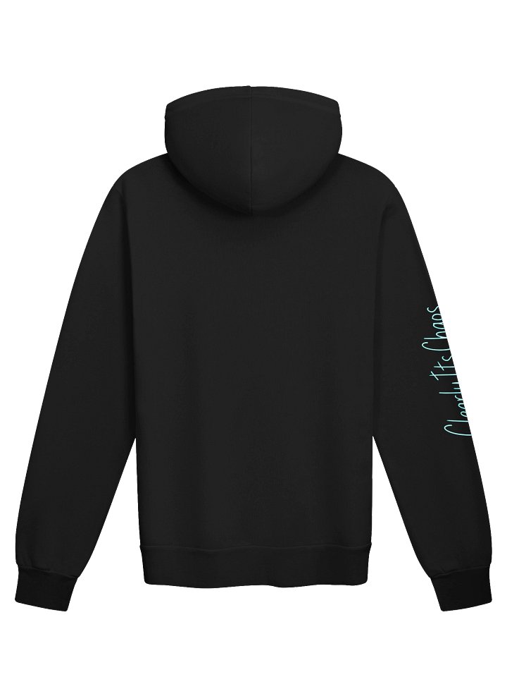 Logo Hoodie - Clear product image (7)