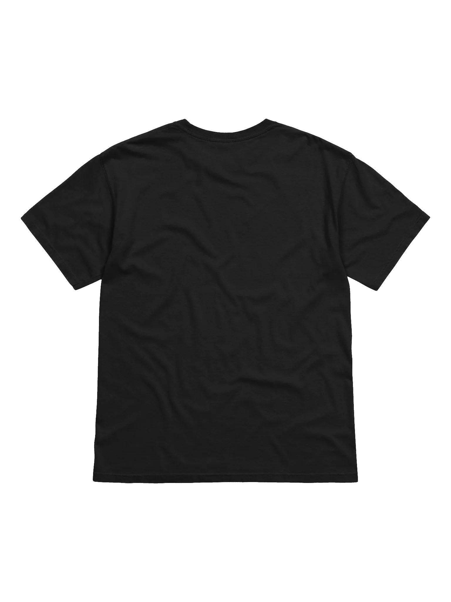 Library University Tee (Comfort Colors) product image (7)