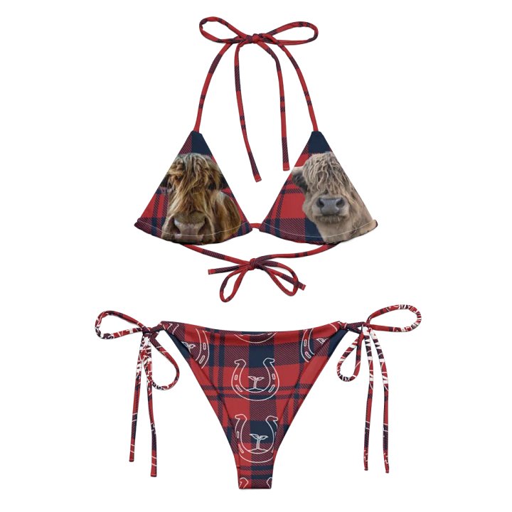 Bikini Bottom product image (1)