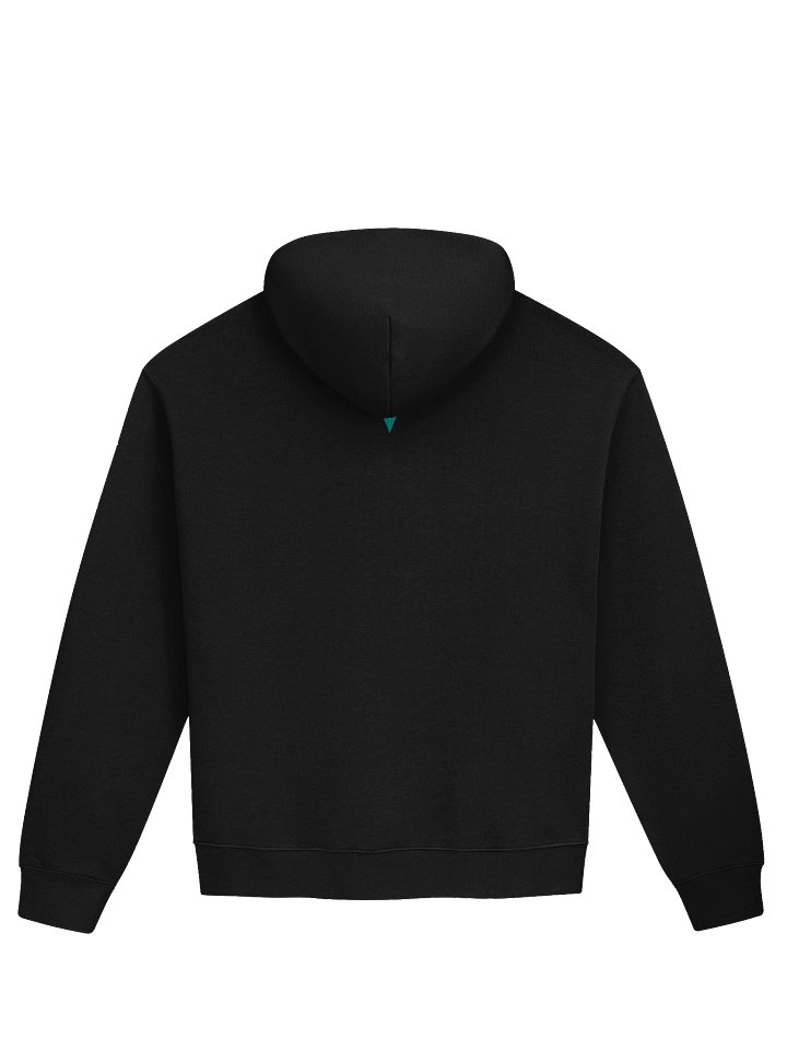 Abrigo Con Silueta product image (2)