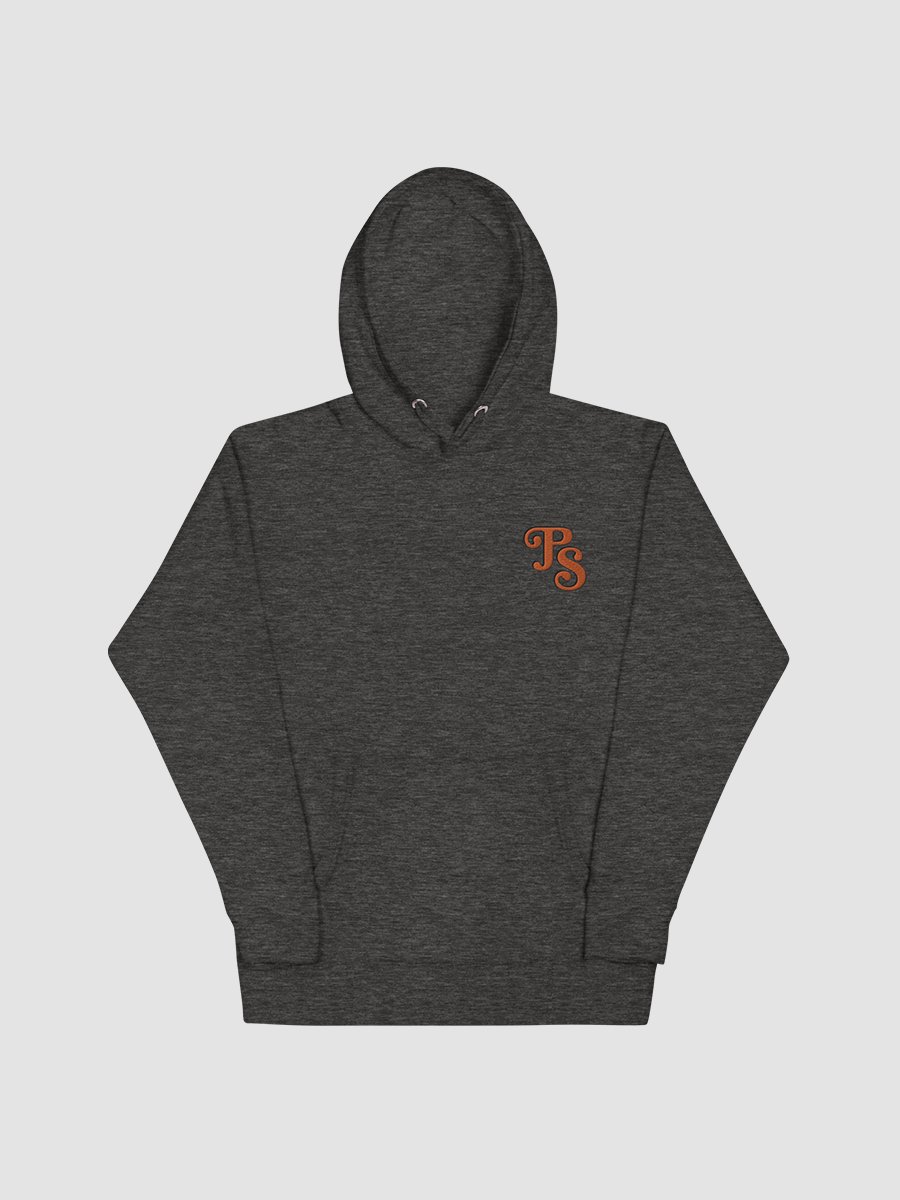 Popular Science Retro Logo Embroidered Hoodie product image (1)