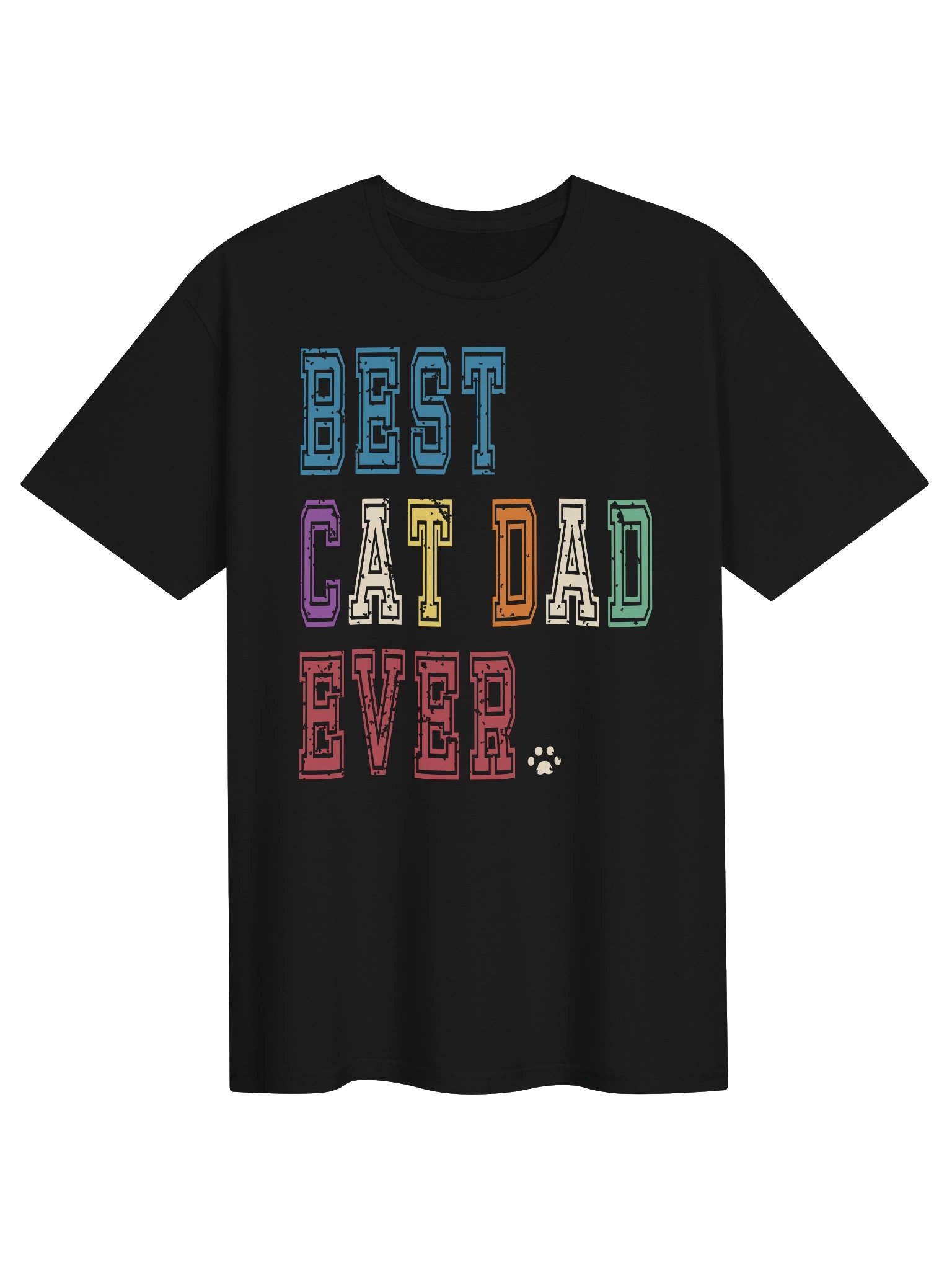 Best Cat Dad Ever 2 - Unisex Adult Super Soft Lightweight T-shirt product image (1)