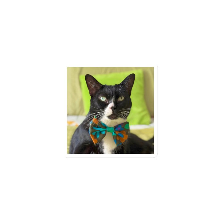 Tuxedo Dream Magnet | Aimant product image (1)