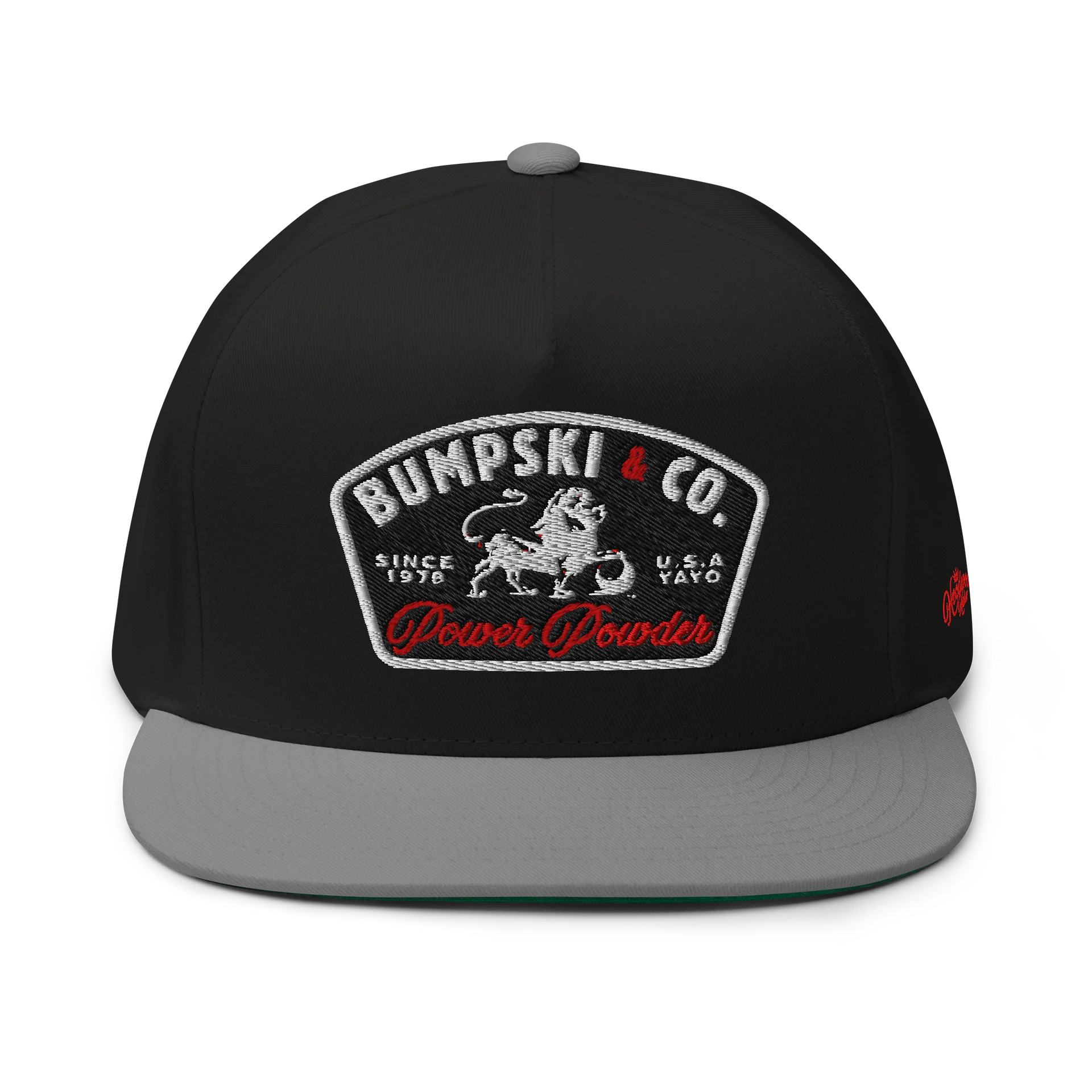 BUMPSKI & CO/POWER POWDER - Embroidered SnapBack product image (7)