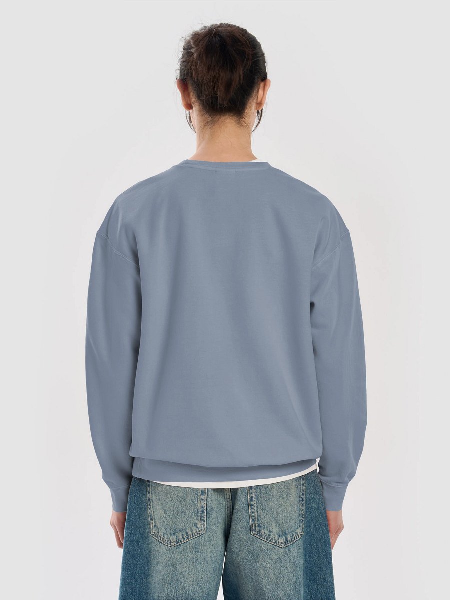 Sesh Sweatsuit Fleece Crewneck product image (6)