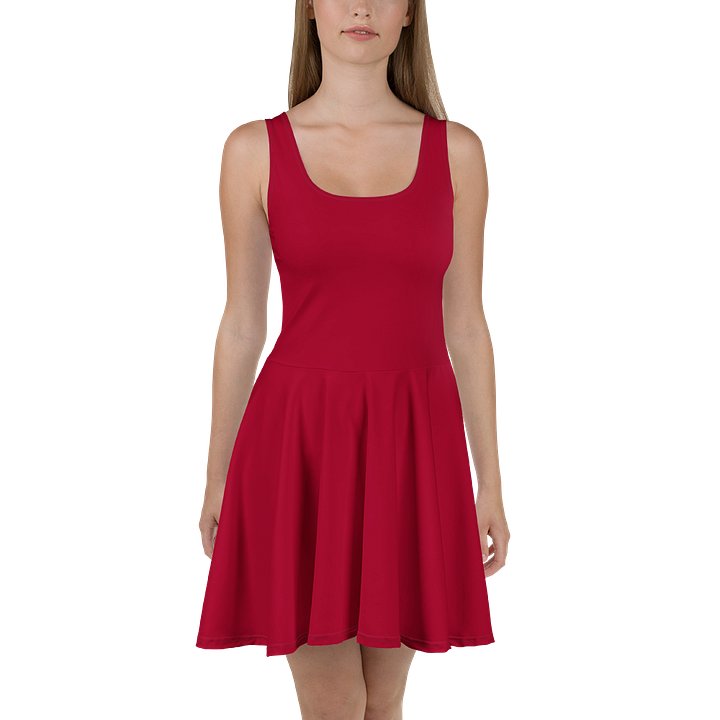 Crimson Canvas All-Over Dress product image (2)