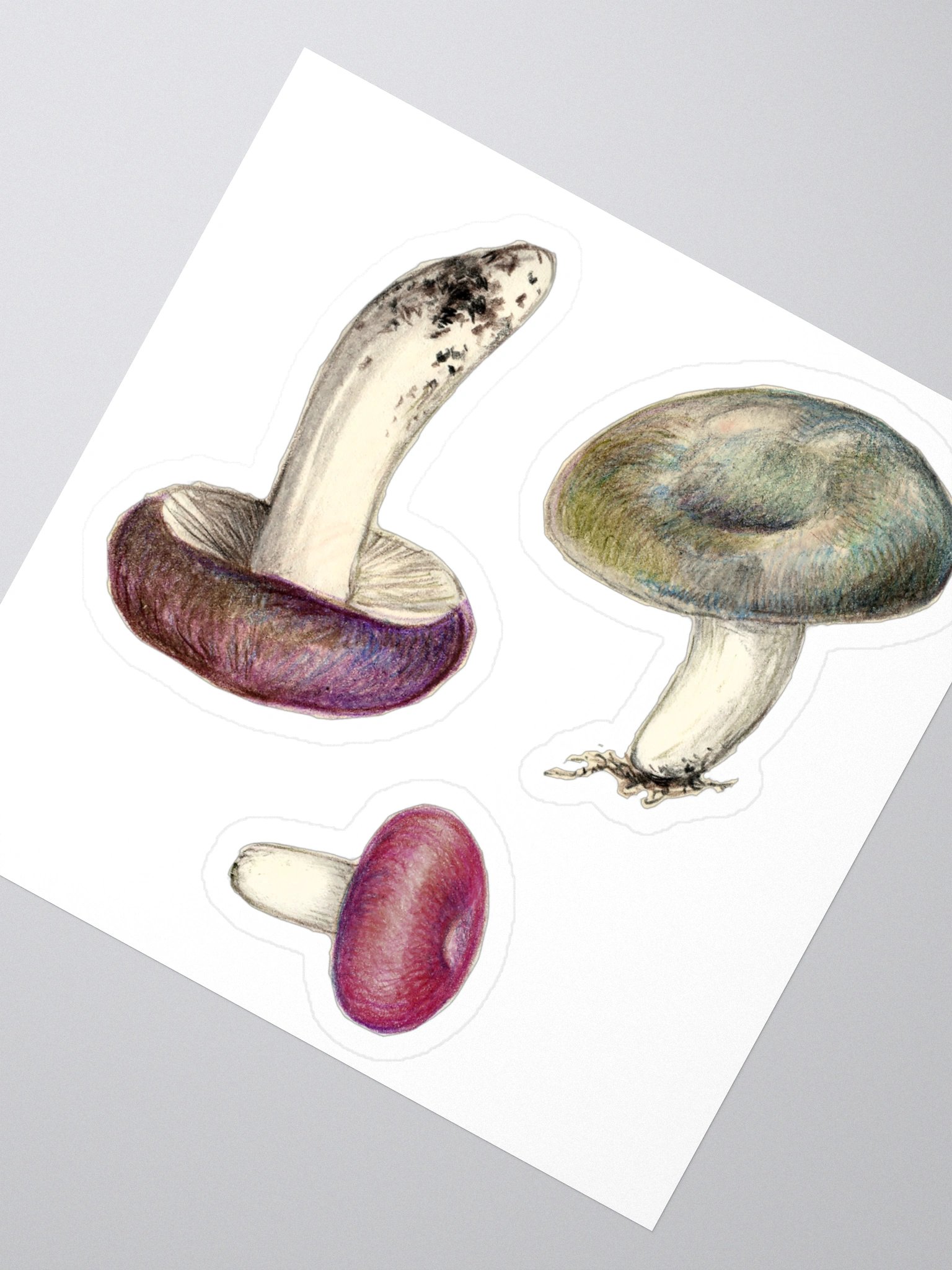 Russula mushrooms stickers product image (4)