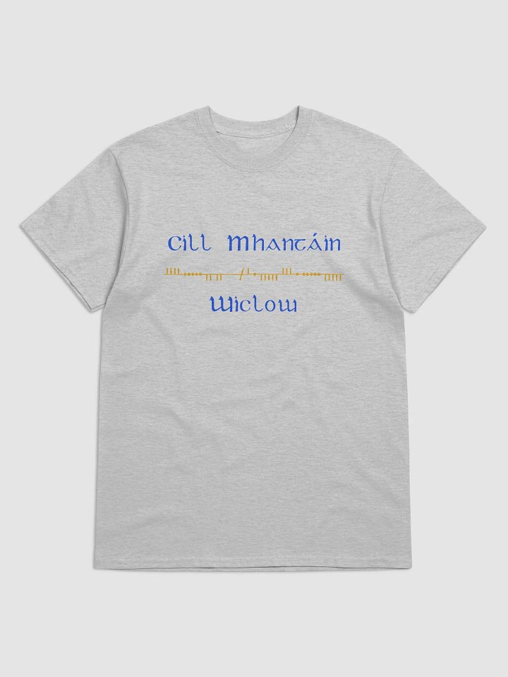 Wicklow/Cill Mhantáin Scholastic style Ogham printed T-shirt product image (61)