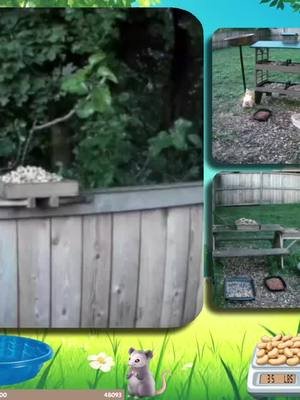 HOW?! | clearbrookcottage on #Twitch #haunted #nowind #ibelieveinghosts #wildlifestream