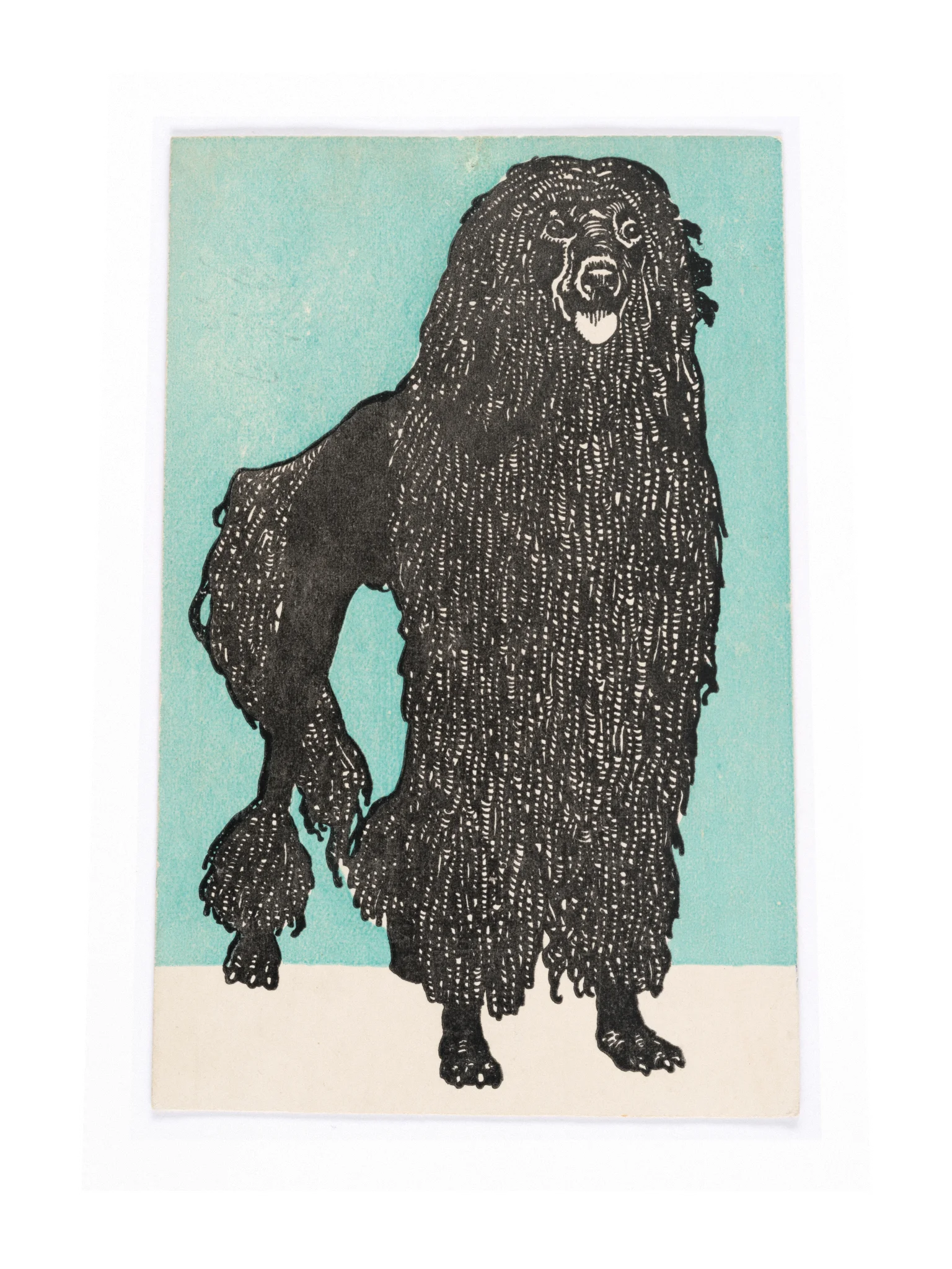 Poodle Poster product image (4)