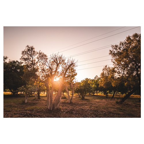 Shot with the Leica Q3 during a weekend trip we took recently.

The atmosphere was absolutely perfect—quiet, peaceful, and al...
