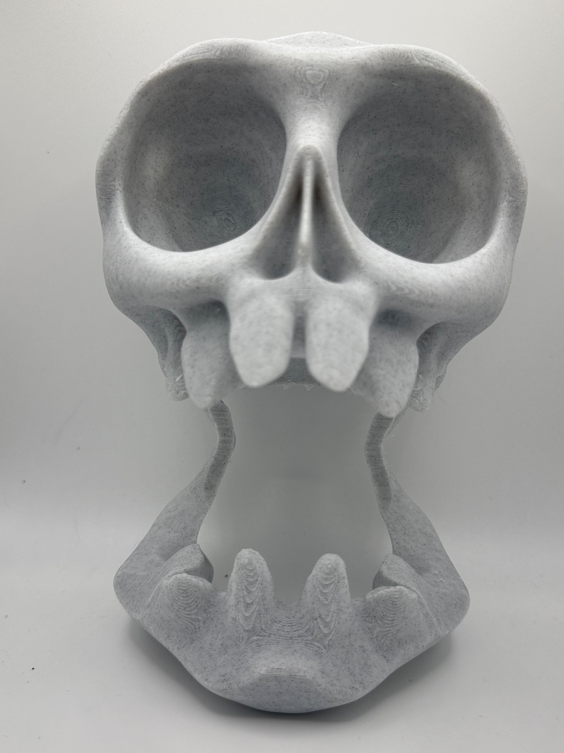 Treasure skull gamepad holder product image (3)