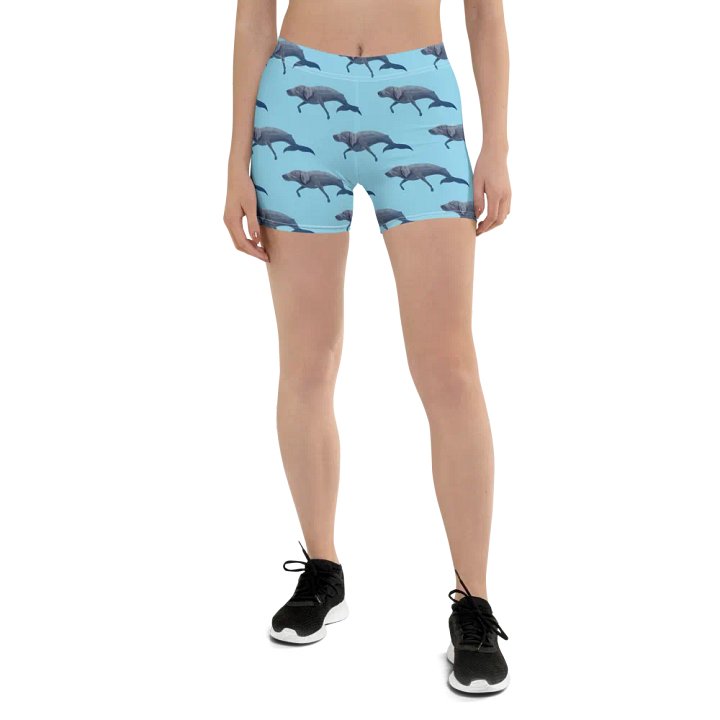 Whalemeriner Shorts product image (1)