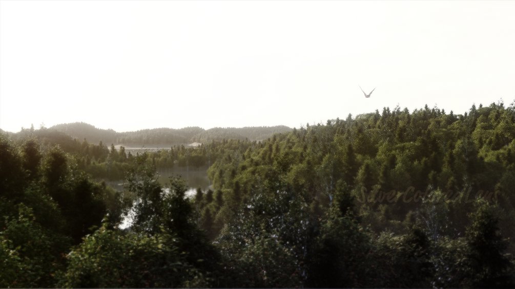 Realistic Aerial Forest Scene product image (1)