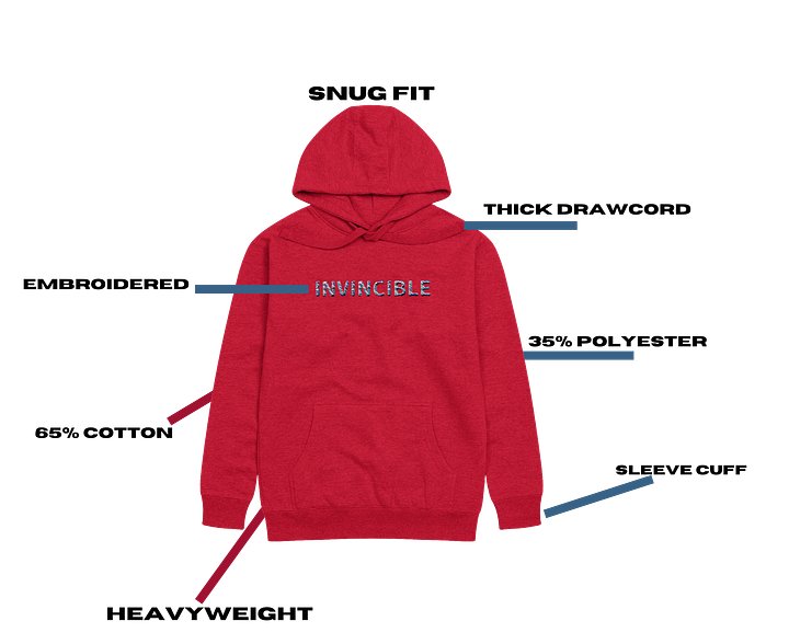 Invincible Heavyweight Snug Fit hoodie product image (2)