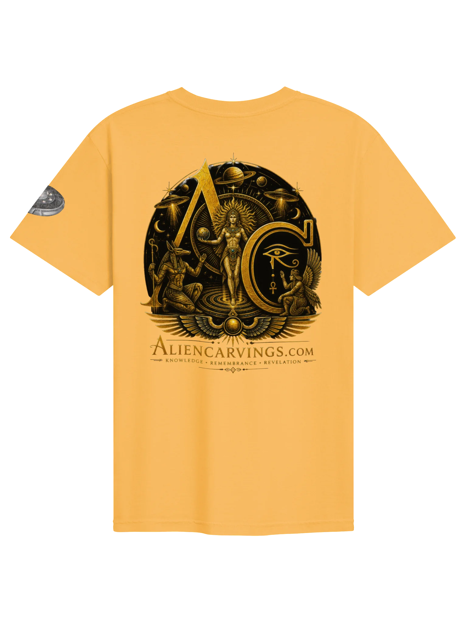Project Disclosure Premium T-Shirt product image (2)