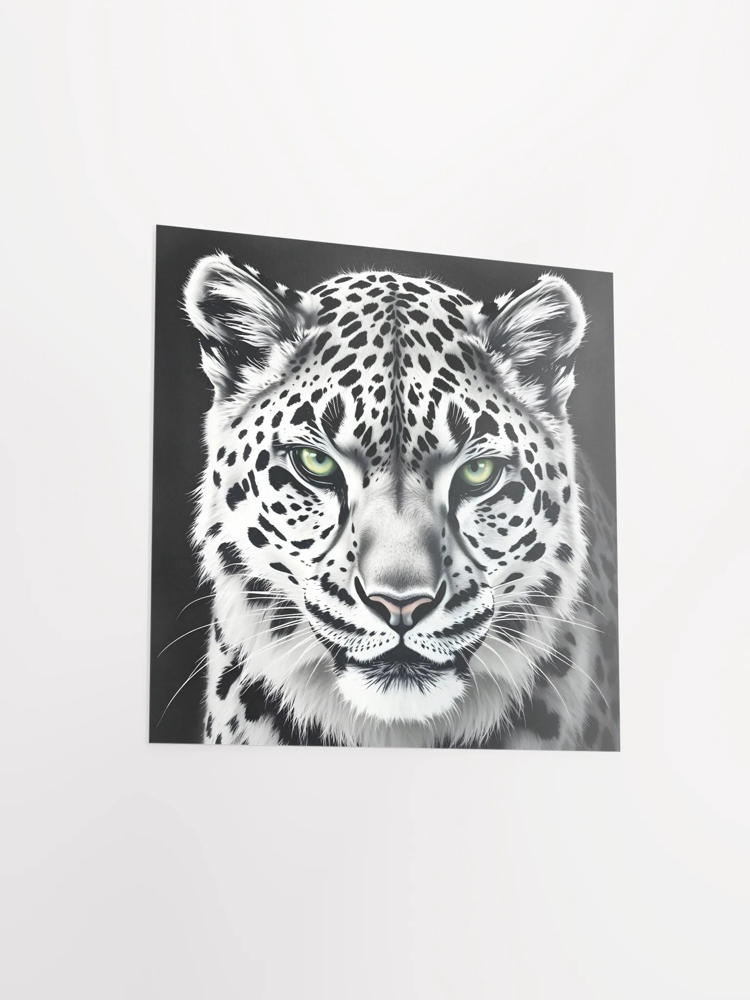 Snowleopard product image (13)