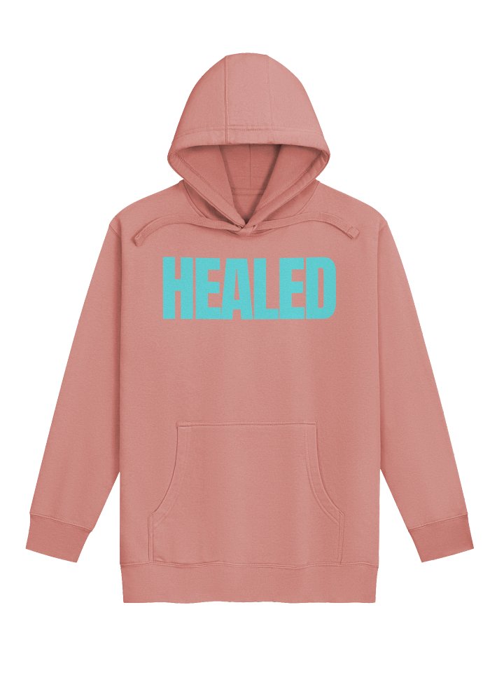HEALED TEAL SPECIAL RETRO EDITION HOODIE product image (3)