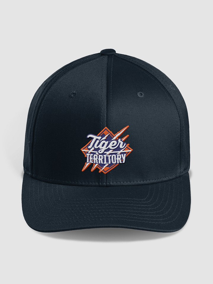 Fitted Hat product image (1)
