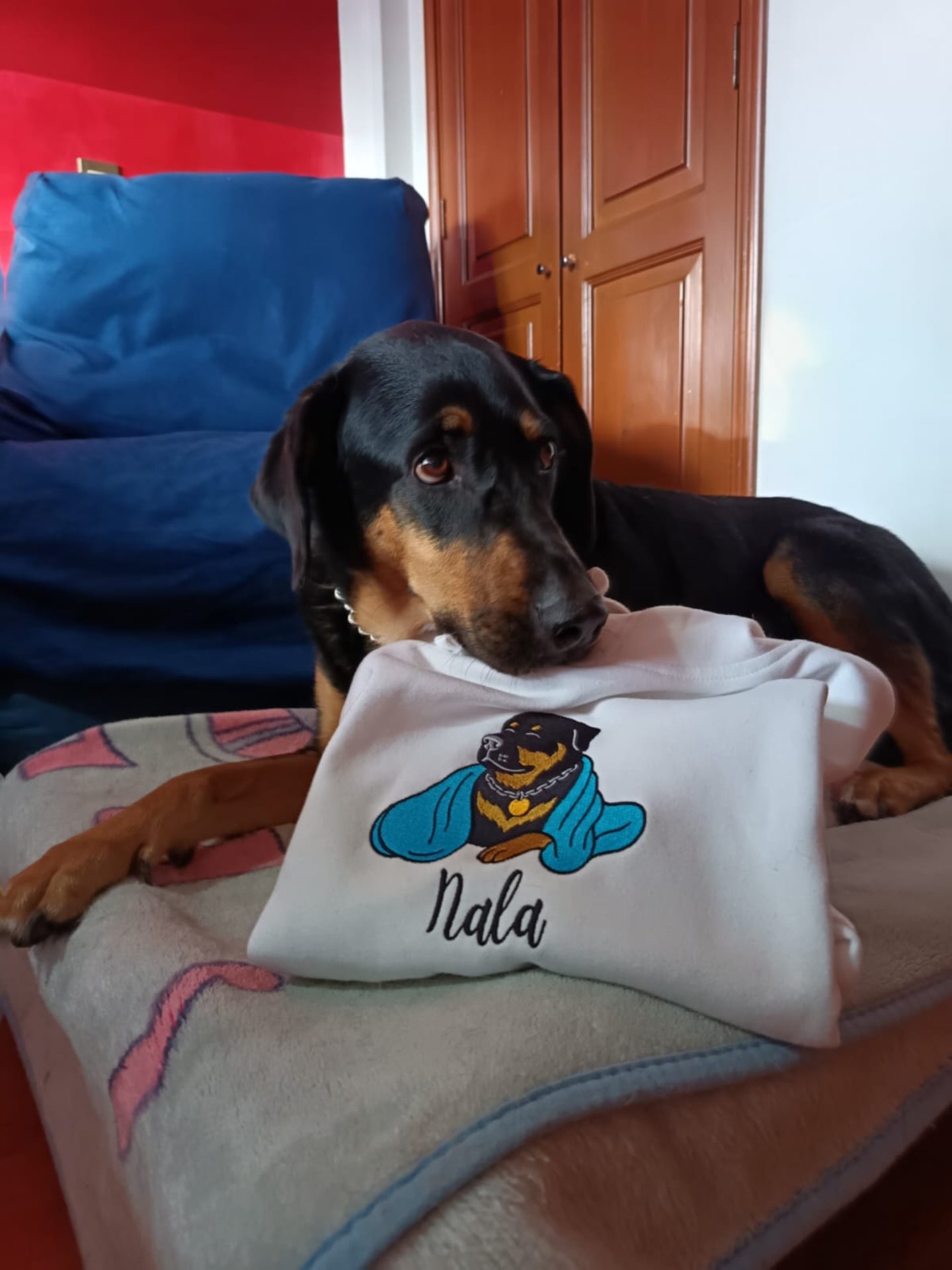 NALA💙 / EMBROIDERED HOODIE product image (2)