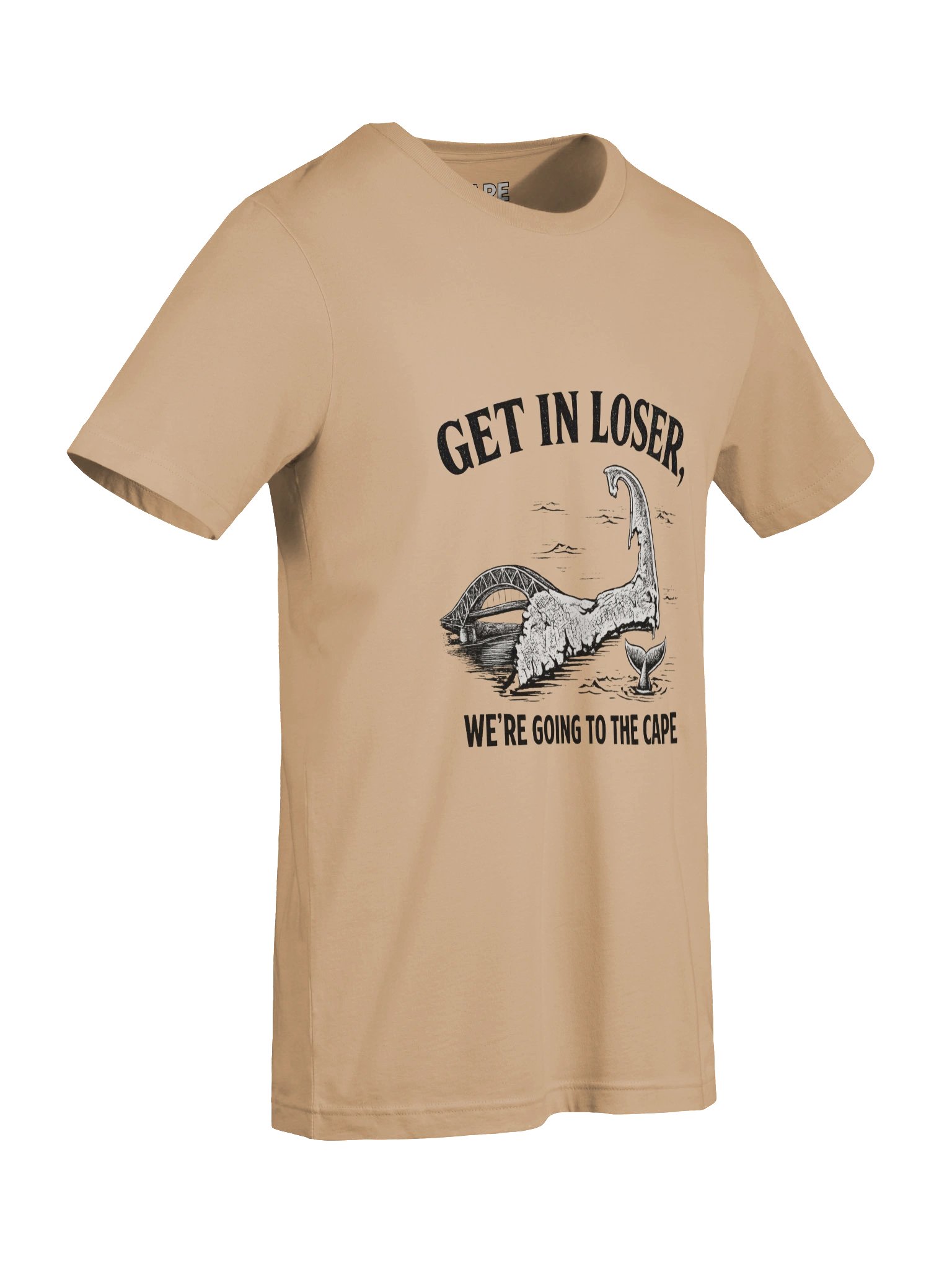 Get in Loser, We're Going to the Cape T-Shirt (Dark) product image (9)